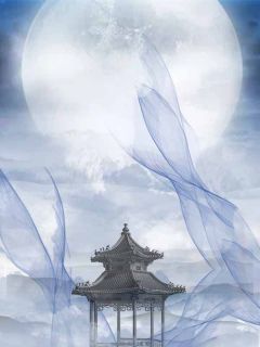 《医女难娶:听说夫人想杀我》小说章节目录免费阅读 顾希音徐令则小说阅读