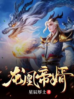 主角是龙十叶倾寒的小说 《龙凰帝婿》 全文免费阅读