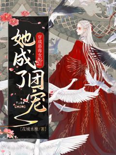 沈星茶华云峥小说 《穿成恶毒女配后她成了团宠》小说全文在线阅读