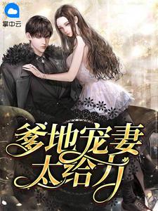 爹地宠妻太给力姜笙司夜爵小说结局精彩章节全文