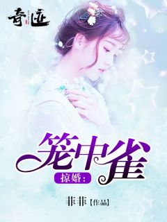 苏妍方沐霖书名叫什么_掠婚:笼中雀