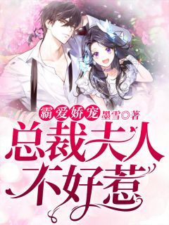 霸爱娇宠:总裁夫人不好惹
