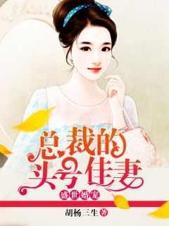 盛世婚宠:总裁的头号佳妻