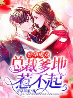 好孕成双,总裁爹地惹不起