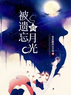 被遗忘的月光(主角温月陆清远) 被遗忘的月光在线阅读