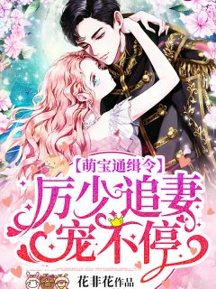 萌宝通缉令:厉少追妻宠不停!