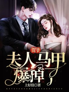 《贺爷，夫人马甲爆掉了》全文免费章节在线试读 季楠贺辰小说