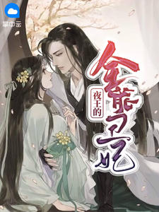 夜王的全能丑妃by霜白 萧凉儿玄君临免费完整版