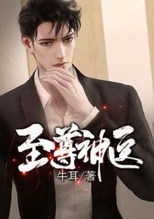 《至尊神医》小说章节列表在线试读 叶少川吕清雪小说阅读