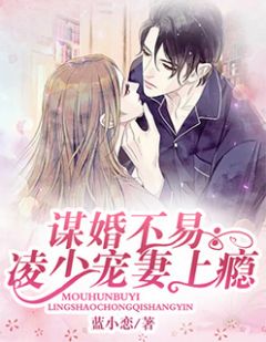 谋婚不易:凌少宠妻上瘾