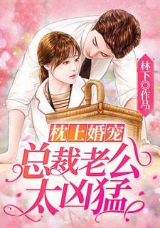 枕上婚宠:总裁老公太凶猛