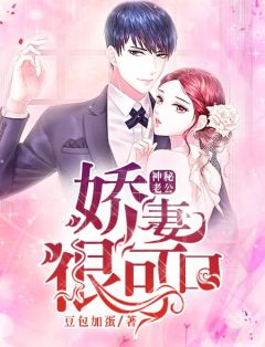 神秘老公:娇妻不好惹