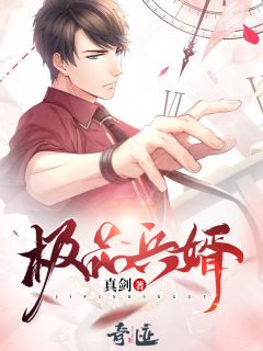 《极品兵婿》林南叶倾城全文精彩章节列表试读