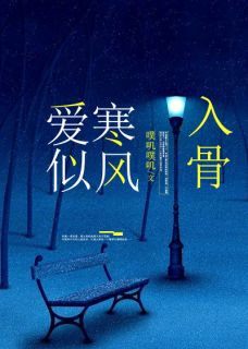 《爱似寒风入骨》小说章节列表在线试读 林鹿盛北淮小说阅读