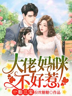 一胎三宝:大佬妈咪不好惹