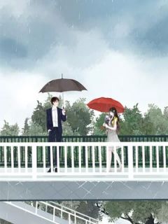 苏慕萧漾《萧夫人她美艳无双》全文及大结局精彩试读