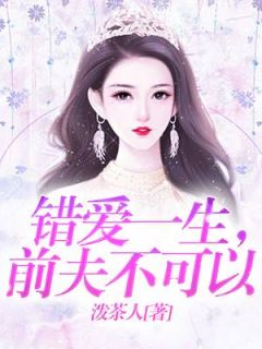 错爱一生，前夫不可以小说全文免费阅读 陆瑶邵允琛章节目录完整版
