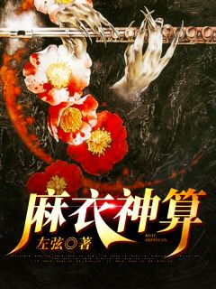 麻衣神算张一水孙小花大结局在线阅读