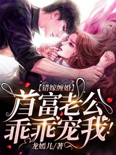《错嫁缠婚:首富老公乖乖宠我!》全文免费章节在线试读 洛薇傅沉渊小说