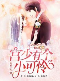 一夜成婚:宫少有个小可怜
