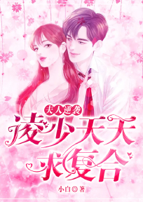 夫人逆袭:凌少天天求复合