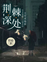 《不撞南墙不回头》小说大结局免费阅读 厉墨唐黎小说全文