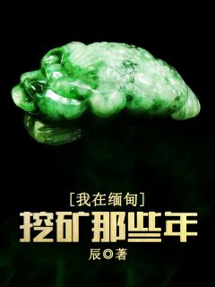 我在缅甸挖矿那些年最新章节 罗飞魏艳玲大结局免费在线阅读