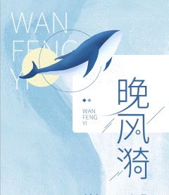 小说晚风漪叶语铃柏文章节免费免费试读地址