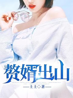 赘婿出山小说 叶辰陈婉婷小说叫什么