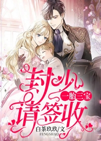 一胎三宝:封少,请签收