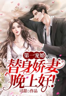 第一宠婚:替身娇妻,晚上好!