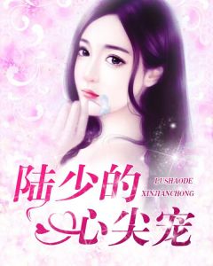 《陆少的心尖宠》叶以念陆宸章节免费阅读