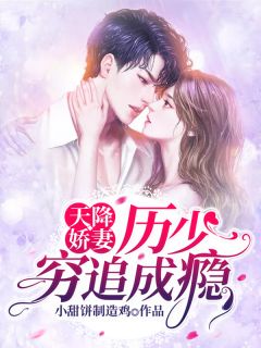 天降娇妻:历少穷追成瘾