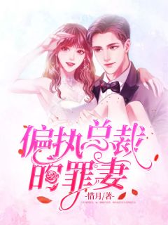 《偏执总裁的罪妻》林向晚陆锦臻小说最新章节目录及全文精彩章节