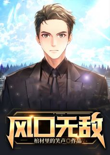 《风口无敌》小说完结版在线阅读 陈斌杨月小说阅读