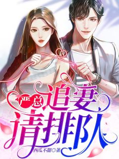 严总,追妻请排队