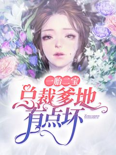 一胎二宝:总裁爹地有点坏完整版全文阅读 南晚晚迟西爵 大结局