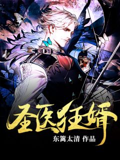 《圣医狂婿》完整版在线阅读(主角林易叶清雪)