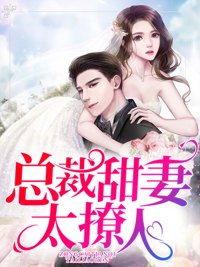 秦舒褚临沉小说 《总裁甜妻太撩人》小说全文在线阅读