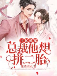 千亿豪宠:总裁他想拼二胎