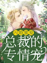 闪婚蜜爱:总裁的专情宠