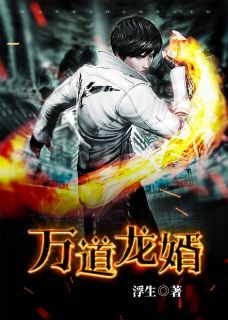 《万道龙婿》李奇书陈雪小说全本免费试读