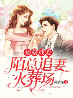 错婚成爱:陌总追妻火葬场
