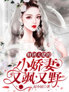 财团大佬的小娇妻又飒又野全文免费阅读(叶梓墨聂妄川) 完结版