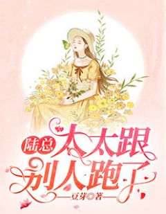 《陆总,太太跟别人跑了》蒋英贤陆北辰章节列表在线试读