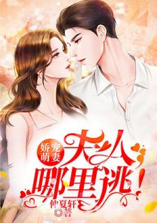 娇宠萌妻:夫人,哪里逃!