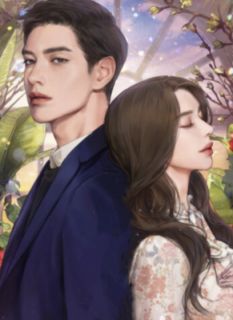 好书推荐《肖少追妻路且长》夏茉肖彦生全文在线阅读