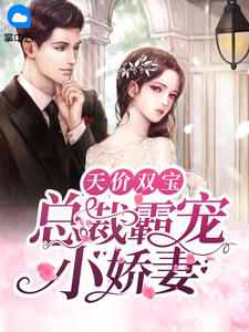 《天价双宝：总裁霸宠小娇妻》全集免费在线阅读（梁闻茉洛净川）