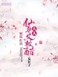 夫人,仙尊又被醋发狂了