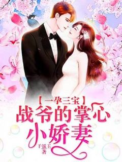 一孕三宝:战爷的掌心小娇妻